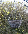 12 inch Round Rattan Hanging Basket