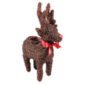 Salim Standing Reindeer Planter (23cm)