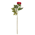 Peony Red