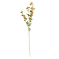 Seventh Heaven Yellow