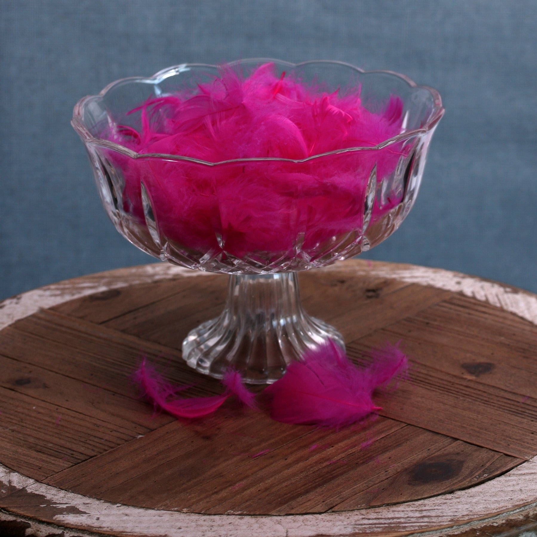 Fuchsia Pink Feathers in Bag (5g)