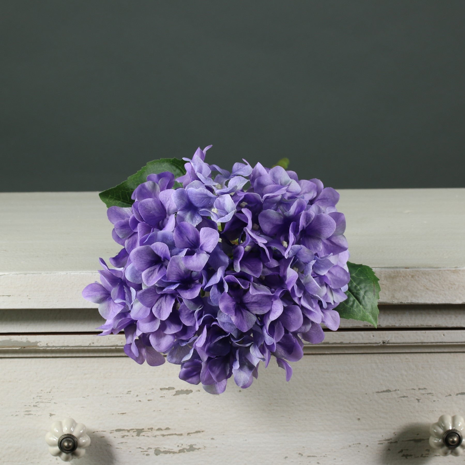 Tintagel Hydrangea Lavender