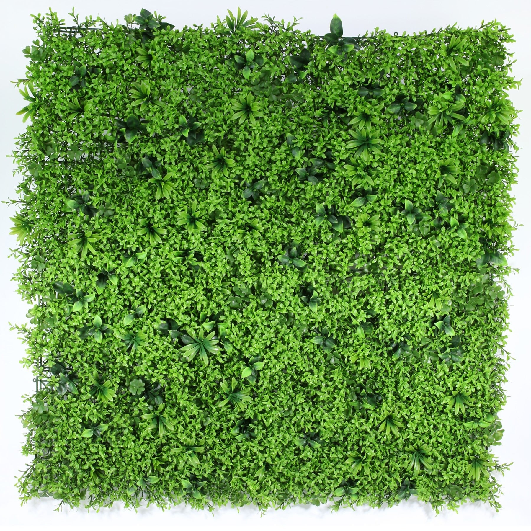 Exterior UV Resistant Small Leaf Green Wall (1m)