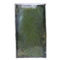 Preserved Green Moss with Tray (500gr)