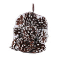 White Tipped Pinea Cones (12pcs)