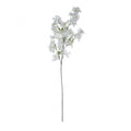 Jasmine Flower Stem