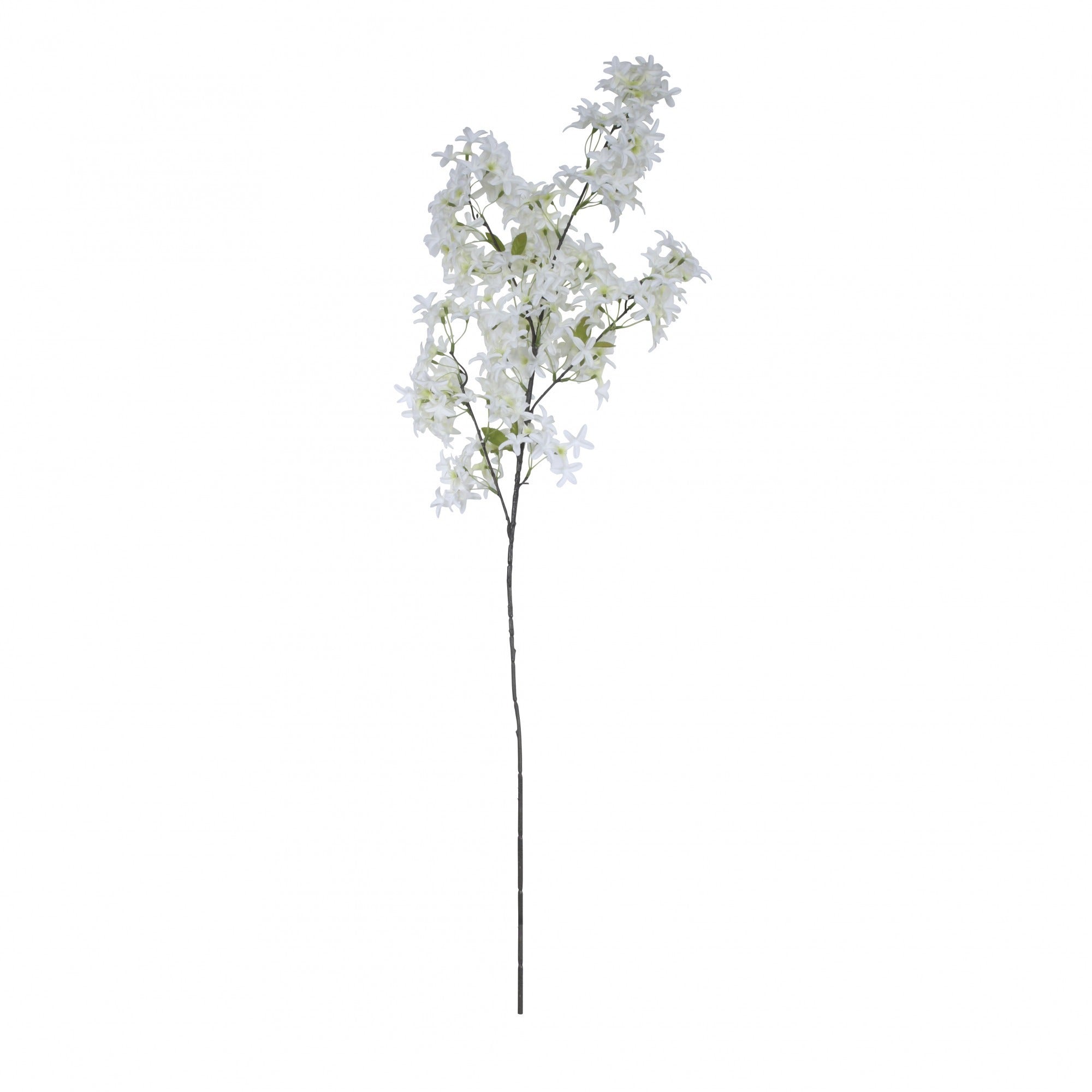 Jasmine Flower Stem