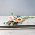 Tintagel Vintage Hedgerow Rose Light Pink