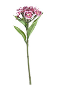 Plum Dianthus on a Short Stem (32cm)