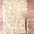 Cream Hydrangea Flower Wall Bundle (1.2 x 1.8M)