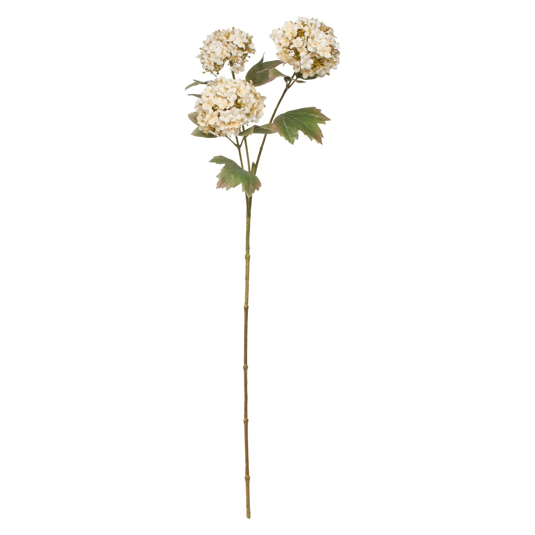 Balmoral  Cream Viburnum Spray (82cm)