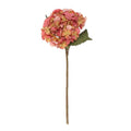 Balmoral Hydrangea Orange (45cm)