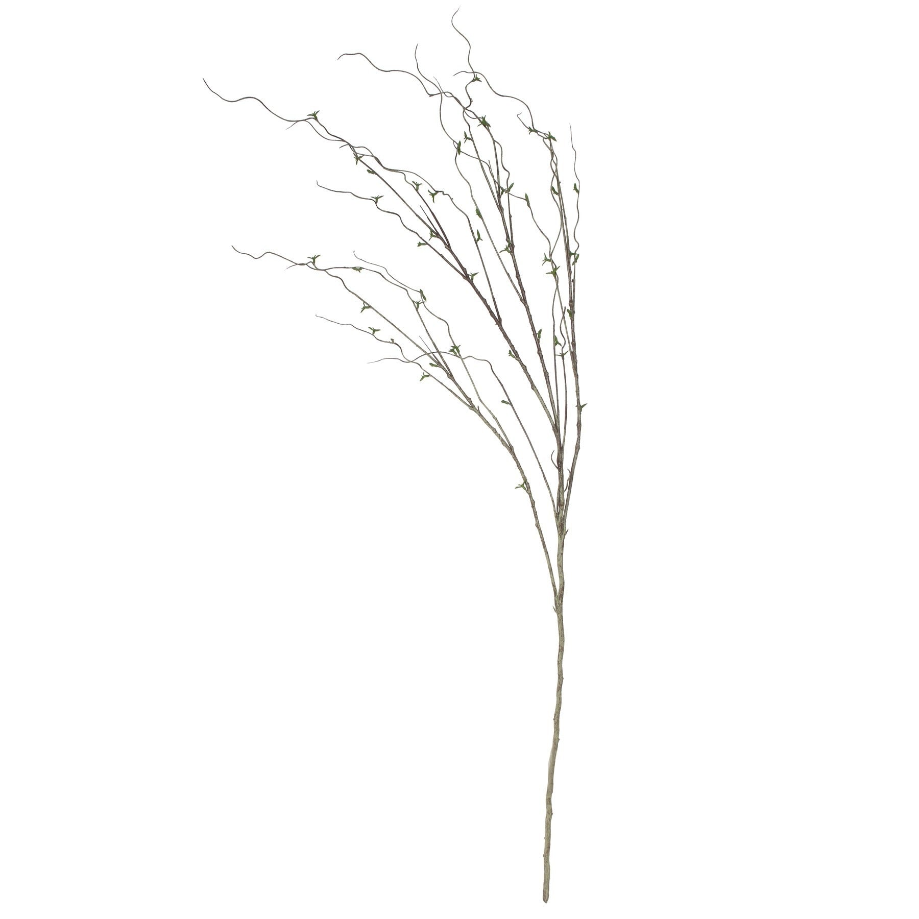 Twig in Leaf
