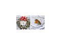 12 Christmas Cards - Wreath Robin