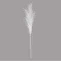 Luxury Pampas Arctic White
