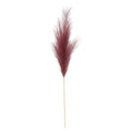 Luxury Pampas Dusky Rose