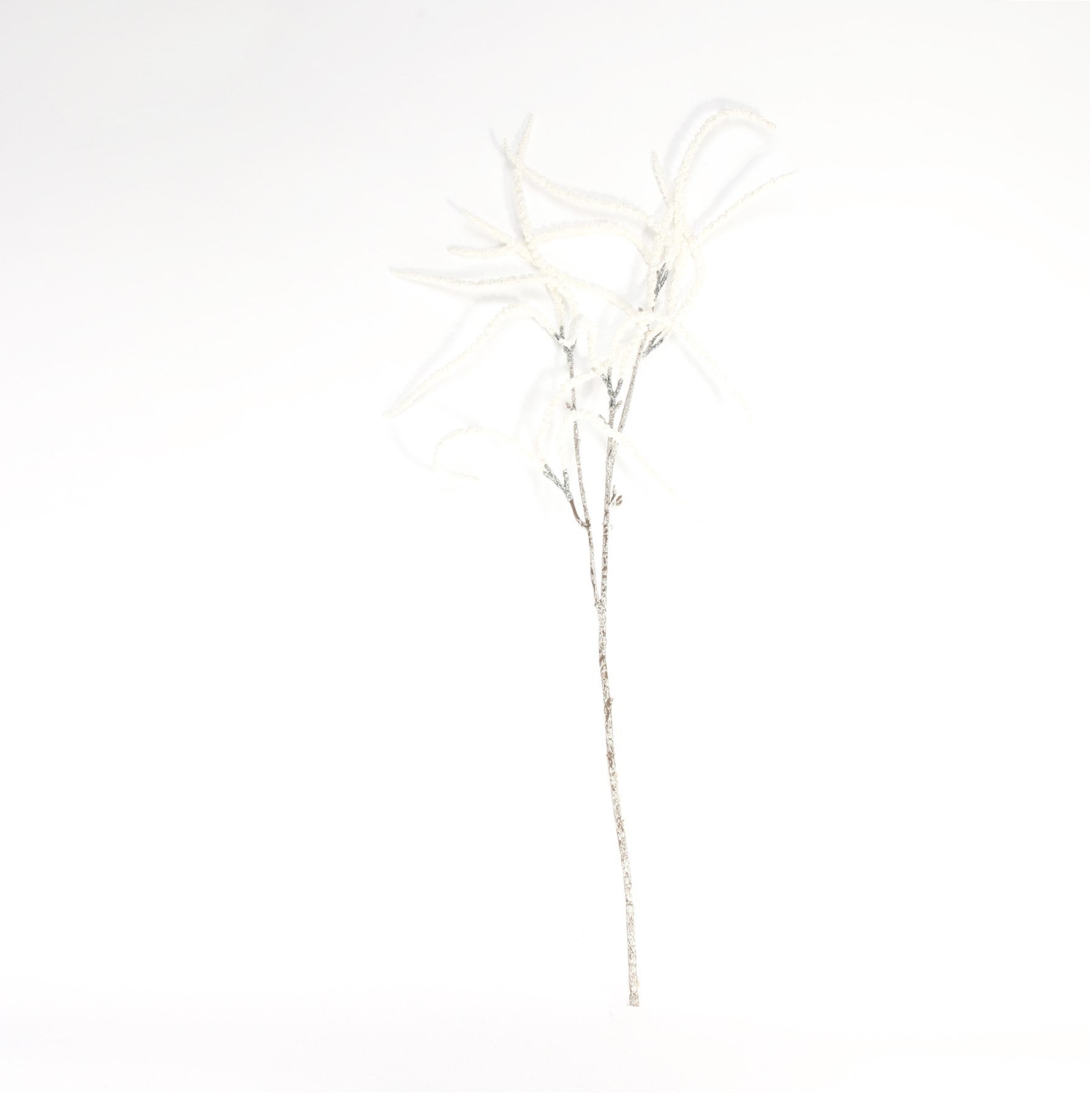 White Willow Spray