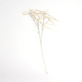 Champagne Willow Spray
