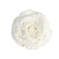 White Rose with Glitter and Clip (Dia18cm)