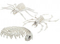 Assorted Skeleton Animals