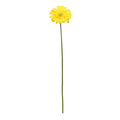 Yellow Gerbera Stem (72cm)