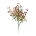 Essential Brown Heather Bud Bush