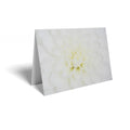 White Chrysanthemum Folded Card (pack of 25)