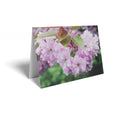 Pink Blossom Folded Card with Care Info (pack of 25)