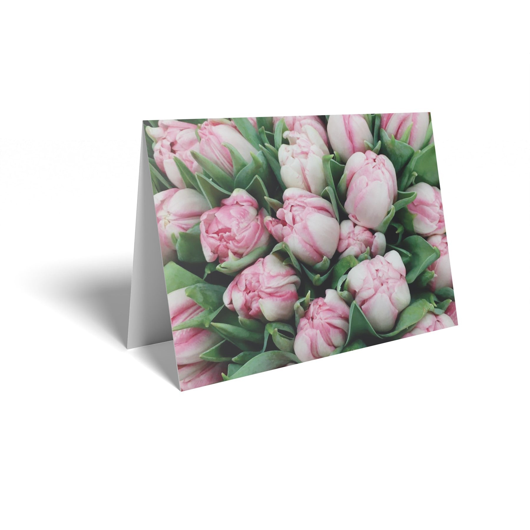 Pink/White Tulips Folded Card with Care Info (pack of 25)