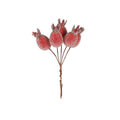 Frosted Hip Bunch (Red)