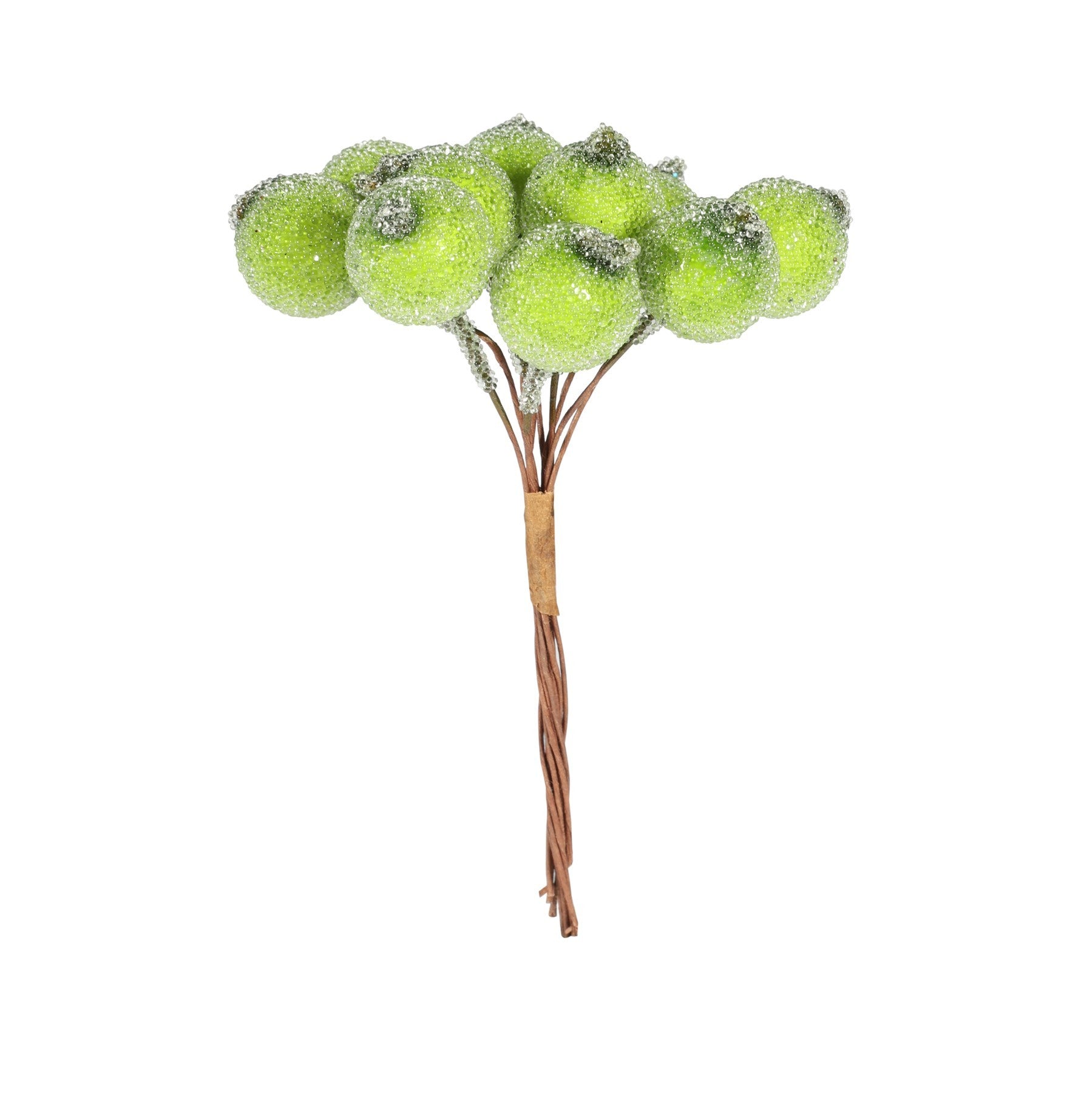Frosted Berry Bunch (Green  Dia18cm)