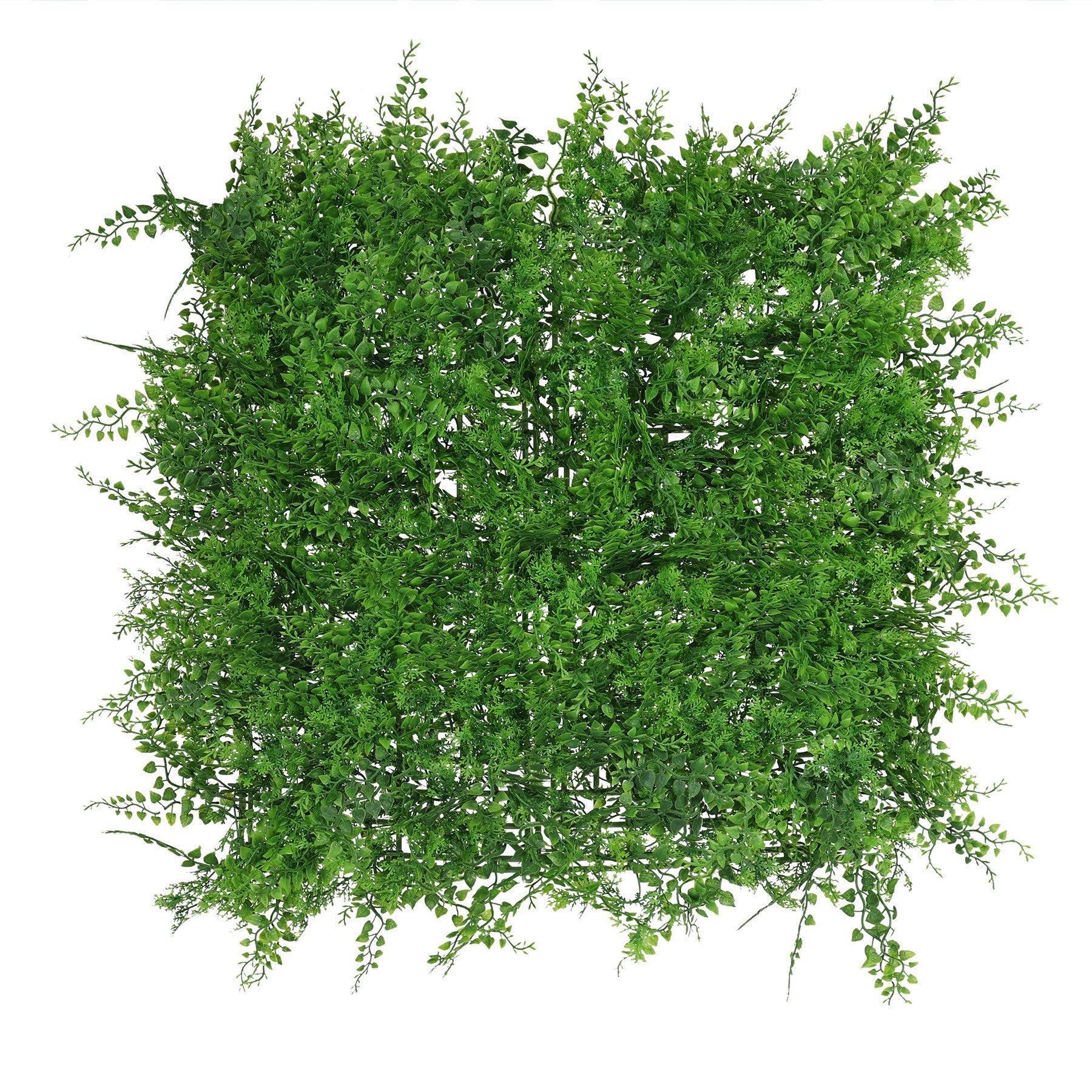 Exterior U.V Fern Leaf Green Wall Panel