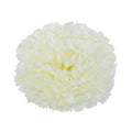 Essential Ivory Carnation Pick (Box of 144)