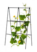Folding A-Frame Cucumber Trellis