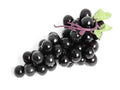 Artificial Black Grape Bunch