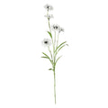 White Wild Cornflower Spray (63cm)