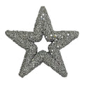 Silver Glitter Star Hanging Decoration (13cm)