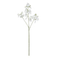 Botanica White Sweetpea (73cm)