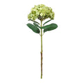 Botanica Giant Green Mop Head Hydrangea (73cm)