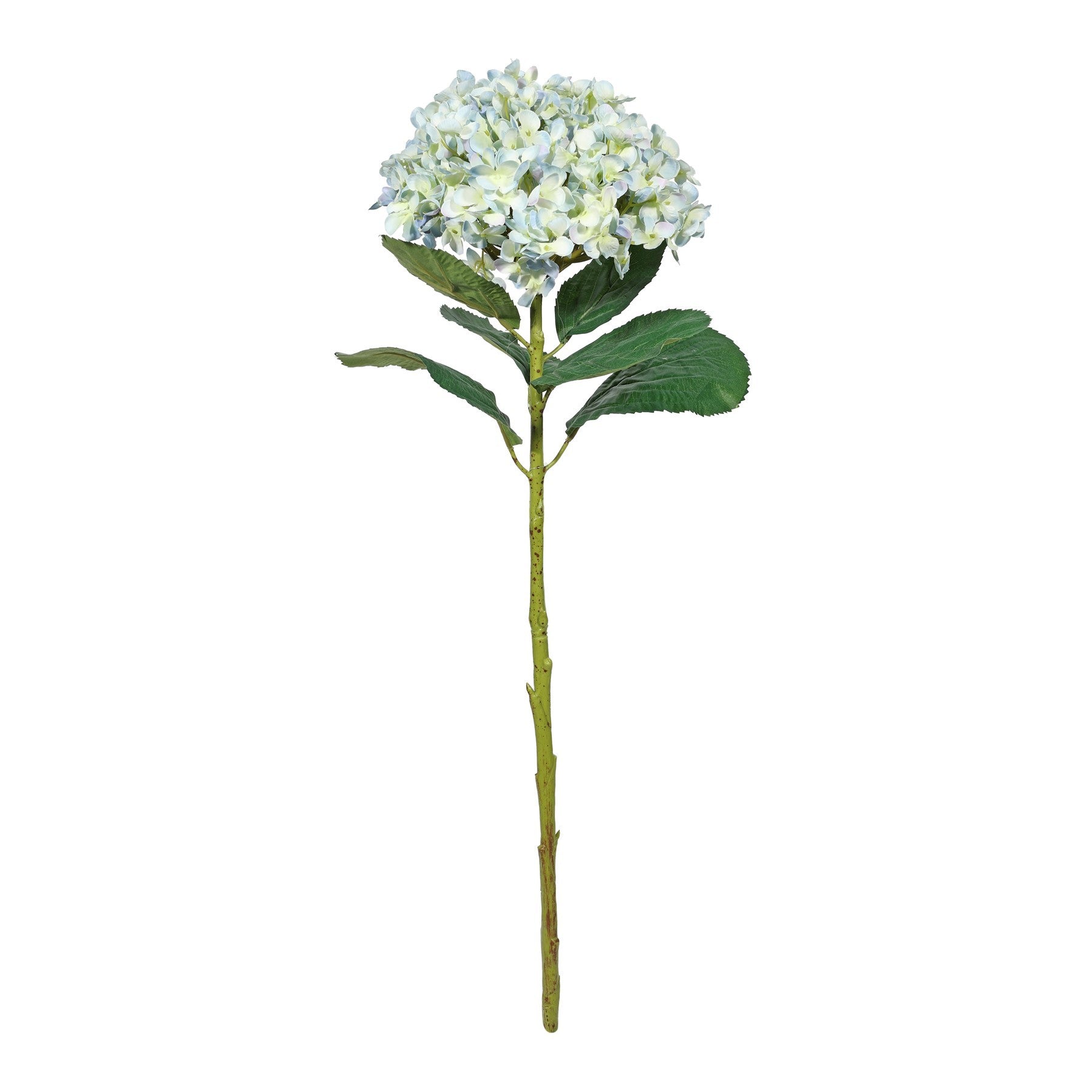 Botanica Giant Pale Blue &amp; Cream Mop Head Hydrangea (73cm)