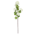 White Botanica Viburnum Opulus (87cm)