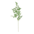 Green Botanica Giant Ruscus (134cm)