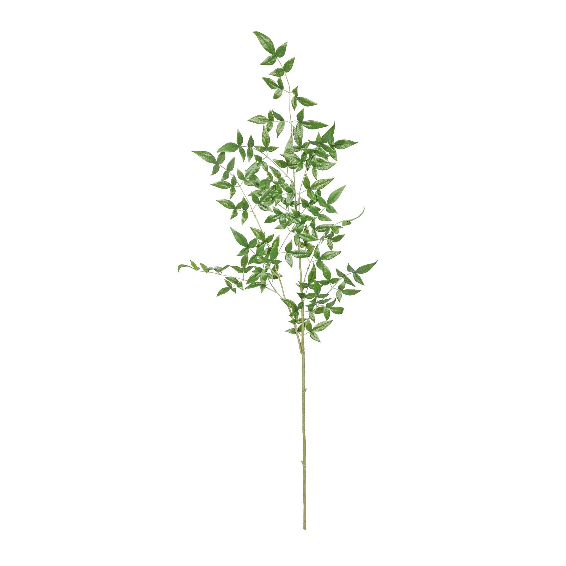 Green Botanica Giant Ruscus (134cm)
