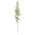 Green Botanica Ruscus Spray (121cm)