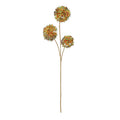 Russet/Green Cassia Fistula (98cm)