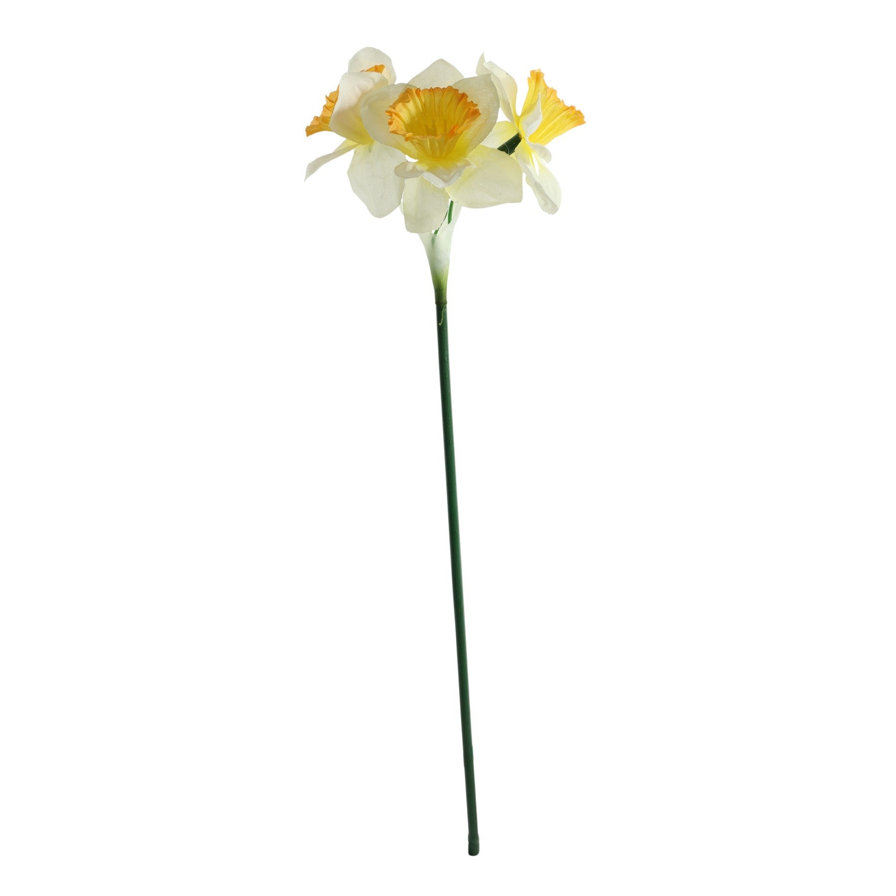 Essential White Mini Daffodil (3 Heads)