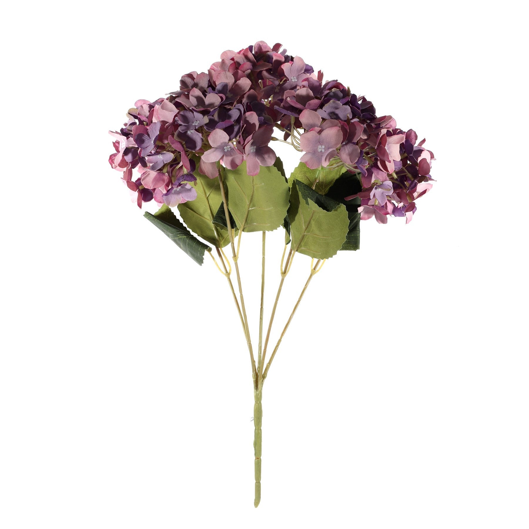 Essential Purple Hydrangea Bush (36cm)