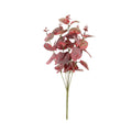 Essential Red Eucalyptus Bush