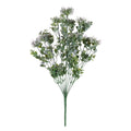 Essential Lilac Sedum Bush