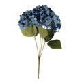 Essential Blue Hydrangea Bush (36cm)